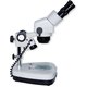 Бинокулярный микроскоп ZTX-E-С2 (10x; 1x/4x)